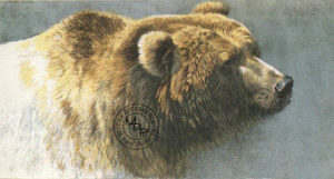 brown bear bateman painting