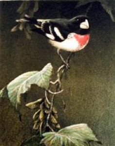 small bird on branch painting