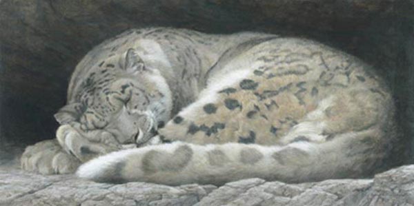 Select Art Galleries, Ontario, Newmarket