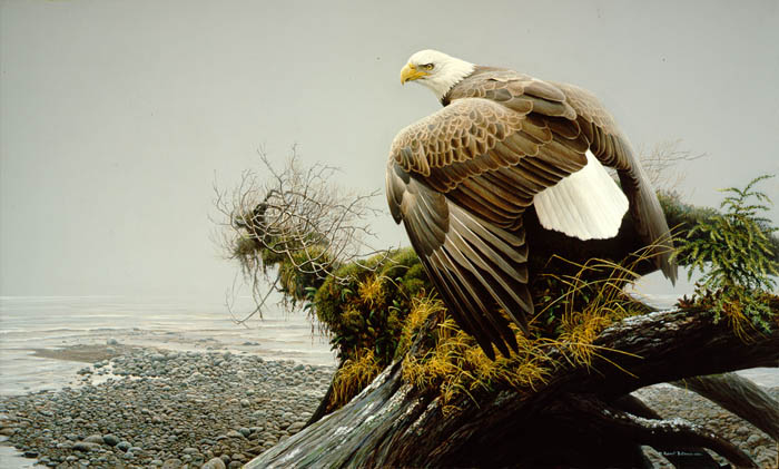 bateman eagle painting